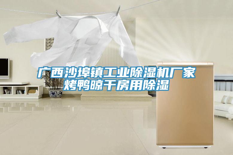 廣西沙埠鎮工業小黄片软件免费下载廠家烤鴨晾幹房用除濕