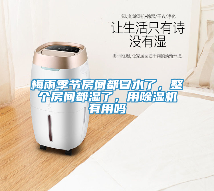 梅雨季節房間都冒水了，整個房間都濕了，用小黄片软件免费下载有用嗎