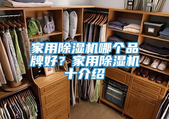 家用小黄片软件免费下载哪個品牌好？家用小黄片软件免费下载十介紹
