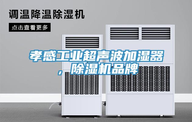 孝感工業超聲波加濕器，小黄片软件免费下载品牌