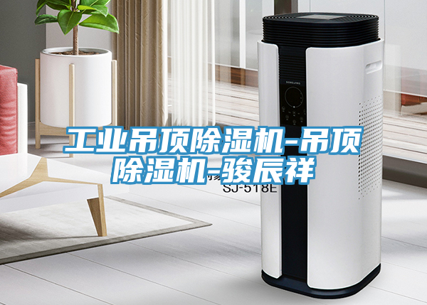 工業吊頂小黄片软件免费下载-吊頂小黄片软件免费下载-駿辰祥