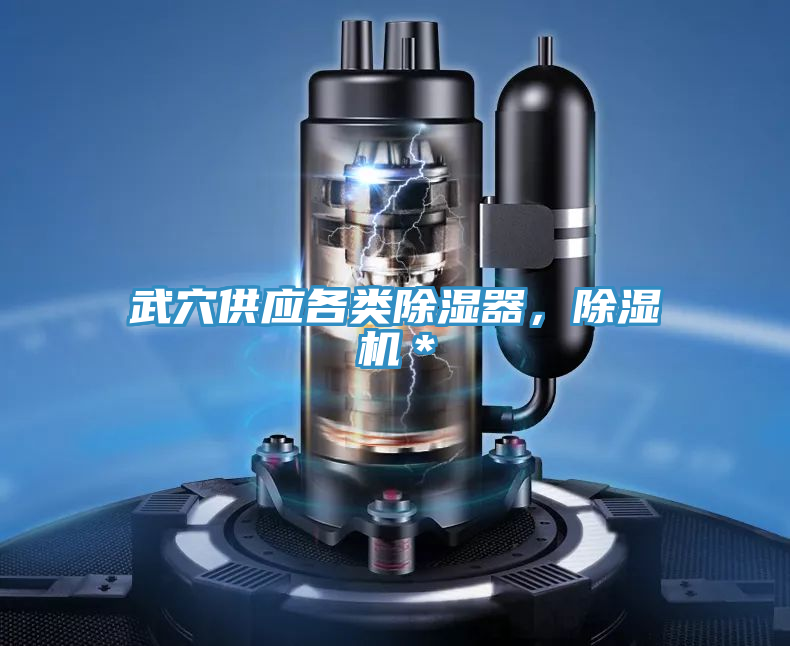武穴供應各類除濕器，小黄片软件免费下载＊
