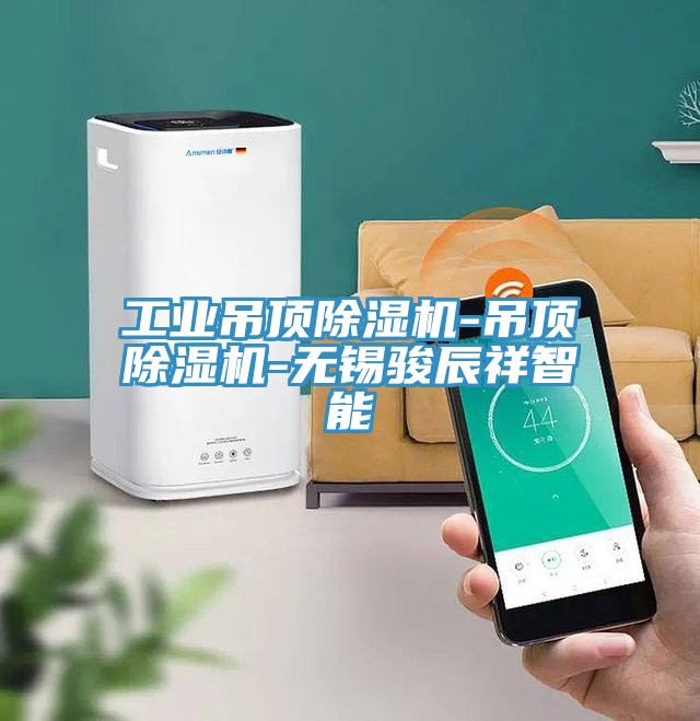 工業吊頂小黄片软件免费下载-吊頂小黄片软件免费下载-無錫駿辰祥智能