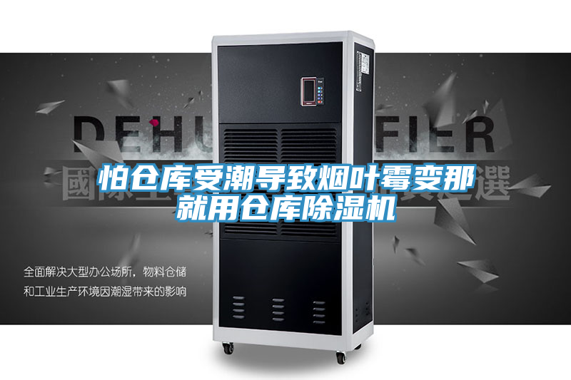 怕倉庫受潮導致煙葉黴變那就用倉庫小黄片软件免费下载