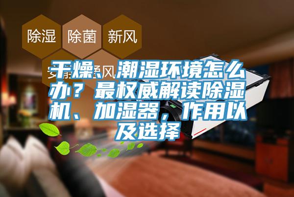 幹燥、潮濕環境怎麽辦？最權威解讀小黄片软件免费下载、加濕器，作用以及選擇