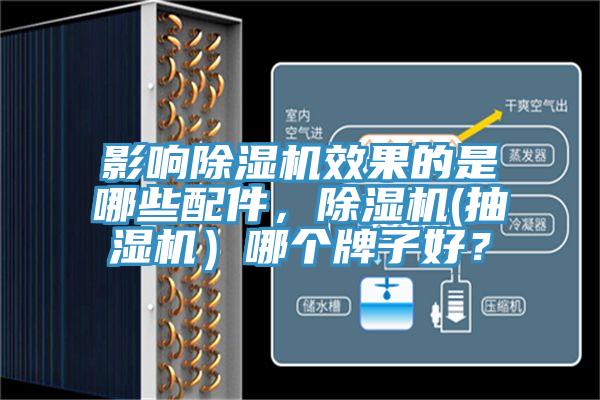 影響小黄片软件免费下载效果的是哪些配件，小黄片软件免费下载(抽濕機）哪個牌子好？