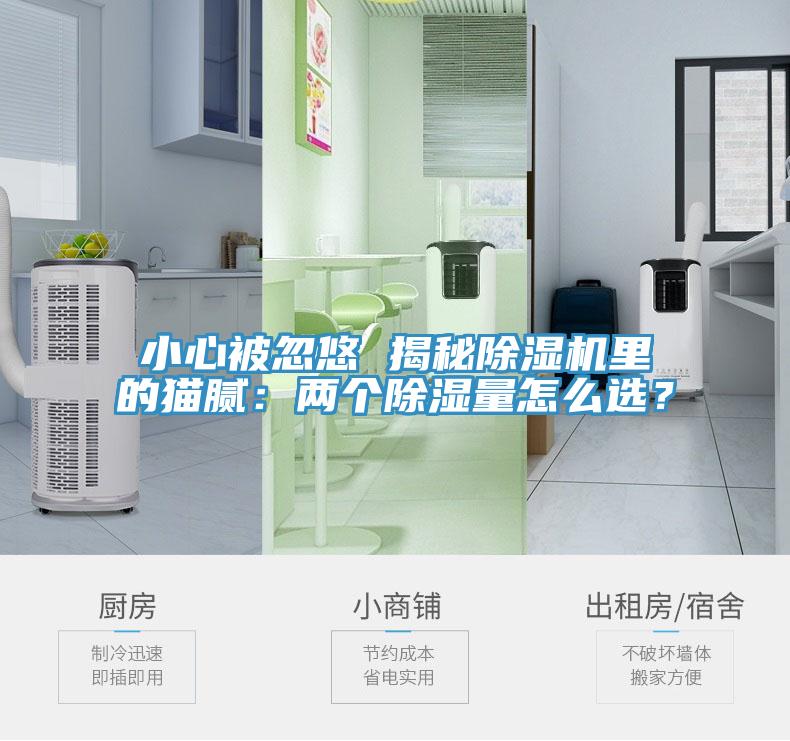 小心被忽悠 揭秘小黄片软件免费下载裏的貓膩：兩個除濕量怎麽選？