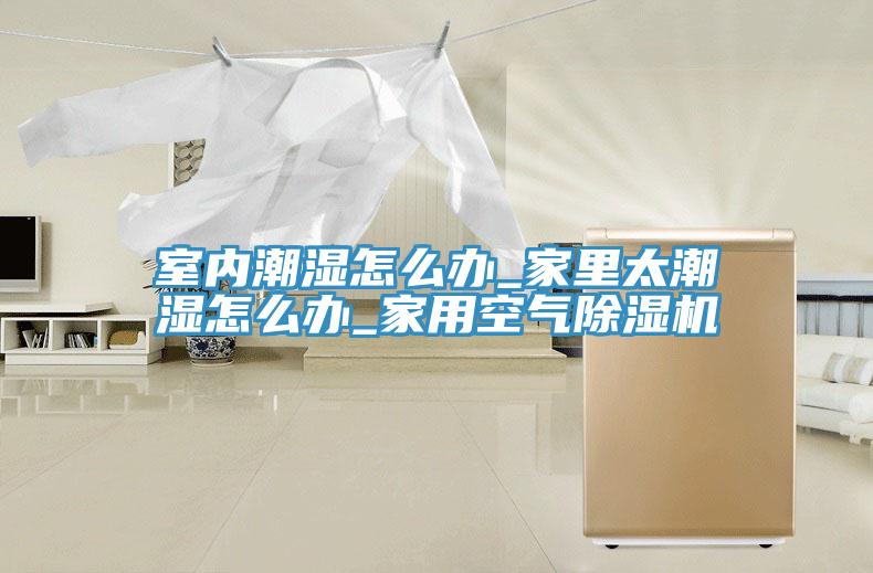 室內潮濕怎麽辦_家裏太潮濕怎麽辦_家用空氣小黄片软件免费下载