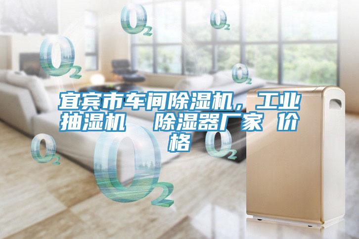 宜賓市車間小黄片软件免费下载，工業抽濕機  除濕器廠家 價格