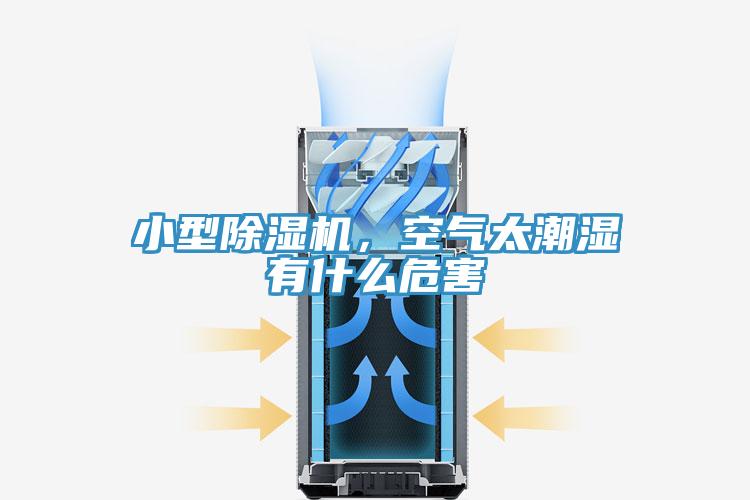 小型小黄片软件免费下载，空氣太潮濕有什麽危害