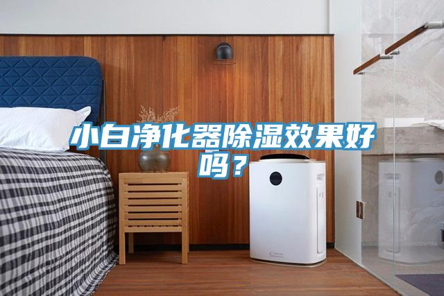 小白淨化器除濕效果好嗎？