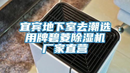 宜賓地下室去潮選用牌碧菱小黄片软件免费下载廠家直營