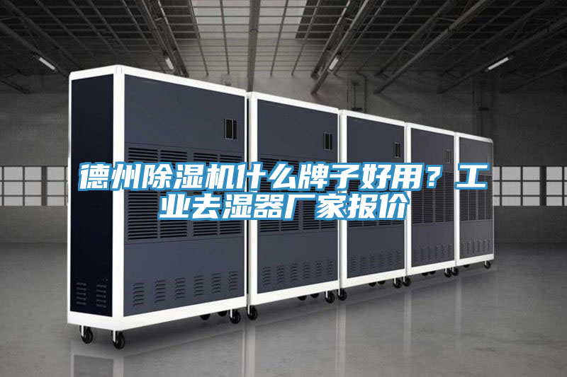 德州小黄片软件免费下载什麽牌子好用？工業去濕器廠家報價