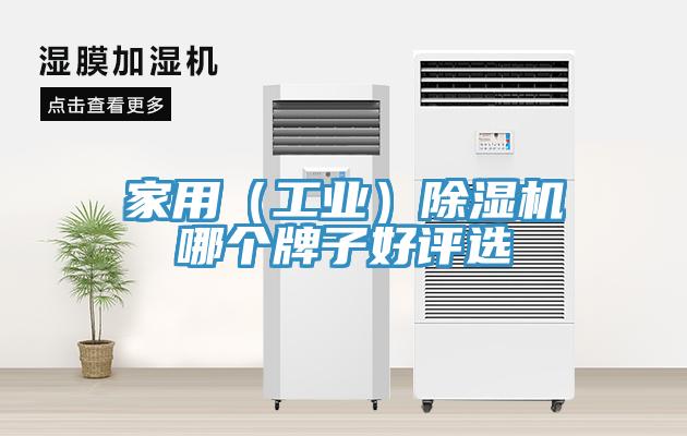 家用（工業）小黄片软件免费下载哪個牌子好評選
