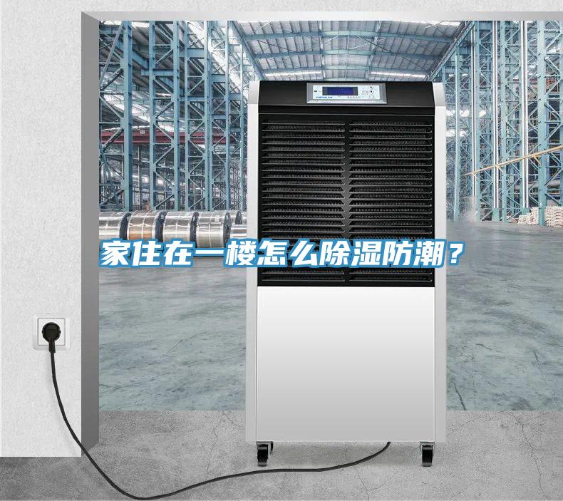 家住在一樓怎麽除濕防潮？