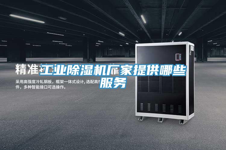 工業小黄片软件免费下载廠家提供哪些服務