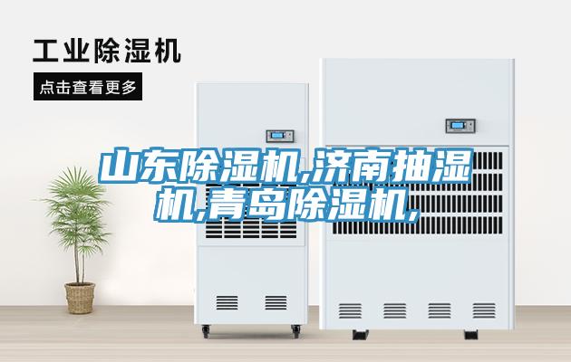 山東小黄片软件免费下载,濟南抽濕機,青島小黄片软件免费下载,