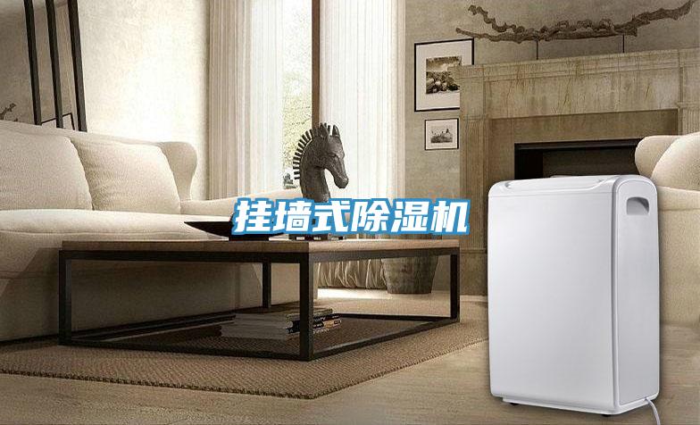 掛牆式小黄片软件免费下载