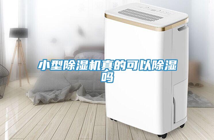 小型小黄片软件免费下载真的可以除濕嗎