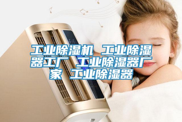 工業小黄片软件免费下载 工業除濕器工廠 工業除濕器廠家 工業除濕器