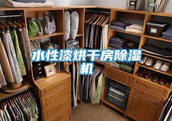 水性漆烘幹房小黄片软件免费下载
