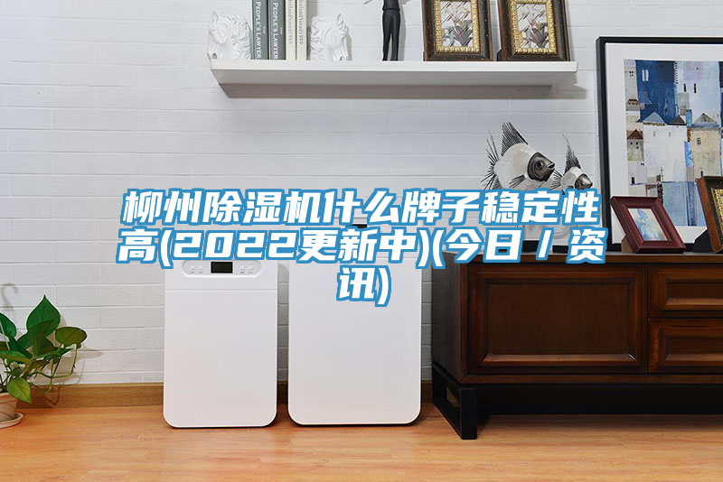 柳州小黄片软件免费下载什麽牌子穩定性高(2022更新中)(今日／資訊)
