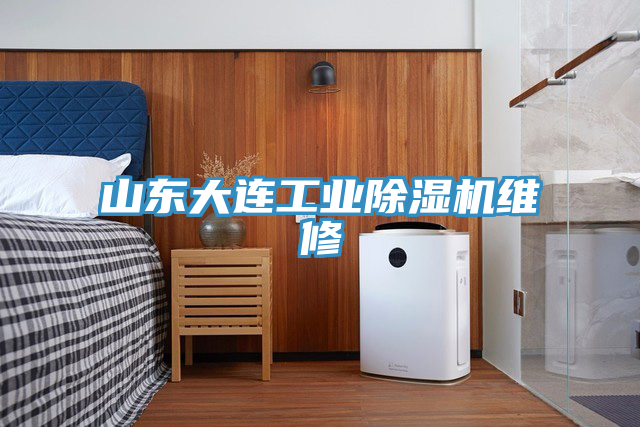山東大連工業小黄片软件免费下载維修