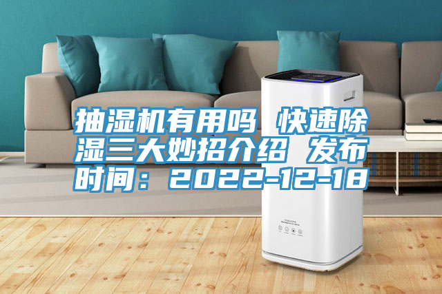 抽濕機有用嗎 快速除濕三大妙招介紹 發布時間：2022-12-18