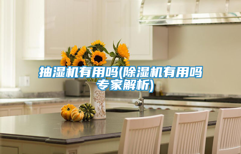 抽濕機有用嗎(小黄片软件免费下载有用嗎 專家解析)