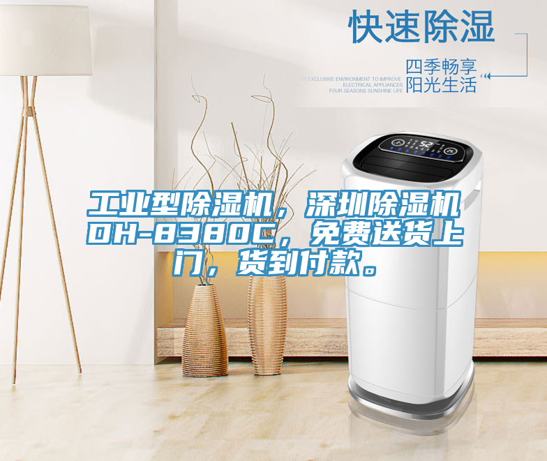 工業型小黄片软件免费下载，深圳小黄片软件免费下载DH-8380C，免費送貨上門，貨到付款。