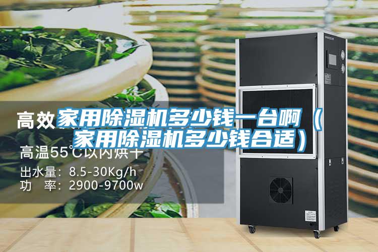 家用小黄片软件免费下载多少錢一台啊（家用小黄片软件免费下载多少錢合適）