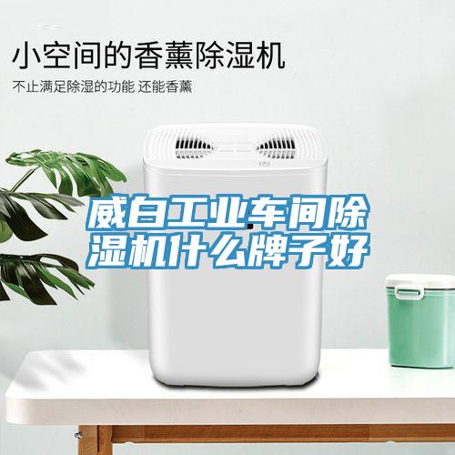 威白工業車間小黄片软件免费下载什麽牌子好