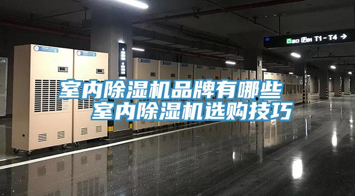室內小黄片软件免费下载品牌有哪些   室內小黄片软件免费下载選購技巧