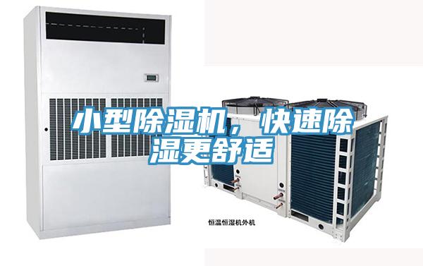 小型小黄片软件免费下载，快速除濕更舒適