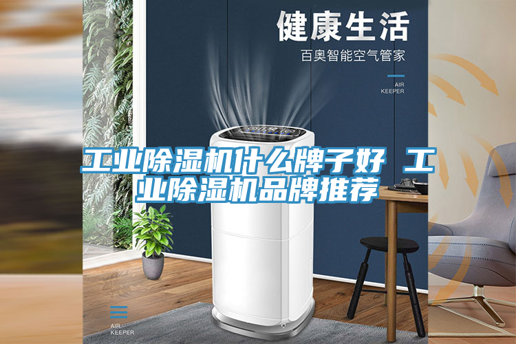 工業小黄片软件免费下载什麽牌子好 工業小黄片软件免费下载品牌推薦