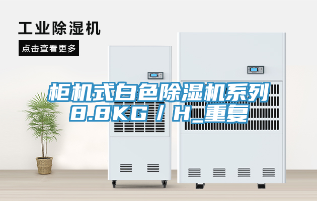 櫃機式白色小黄片软件免费下载係列8.8KG／H_重複