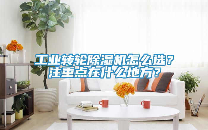 工業轉輪小黄片软件免费下载怎麽選？注重點在什麽地方？