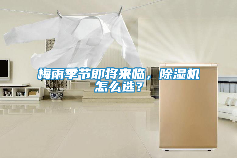 梅雨季節即將來臨，小黄片软件免费下载怎麽選？