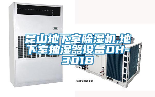 昆山地下室小黄片软件免费下载,地下室抽濕器設備DH-301B