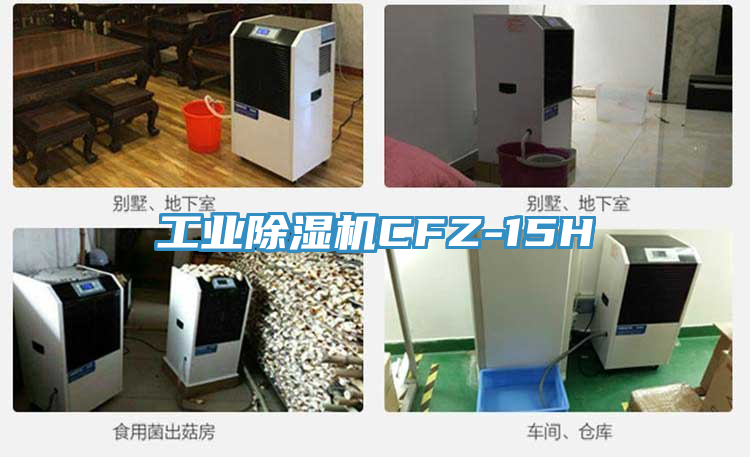 工業小黄片软件免费下载CFZ-15H