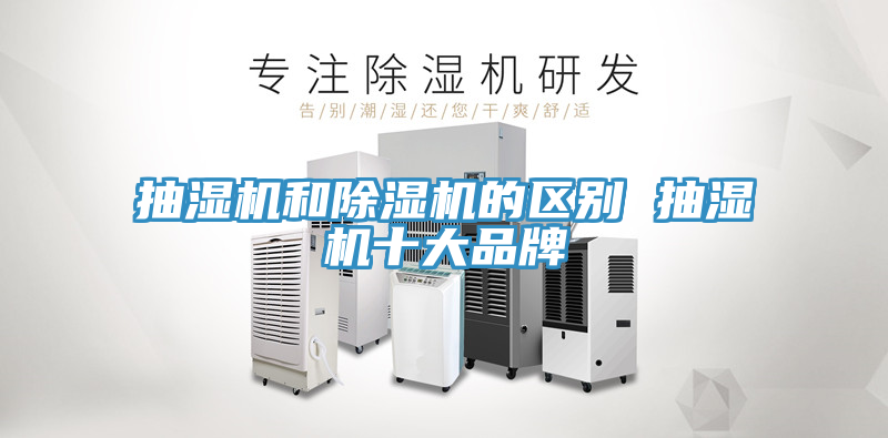 抽濕機和小黄片软件免费下载的區別 抽濕機十大品牌