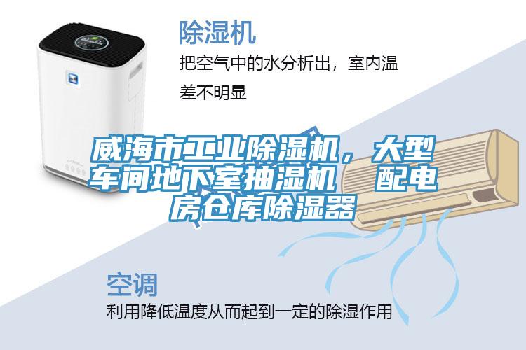 威海市工業小黄片软件免费下载，大型車間地下室抽濕機  配電房倉庫除濕器