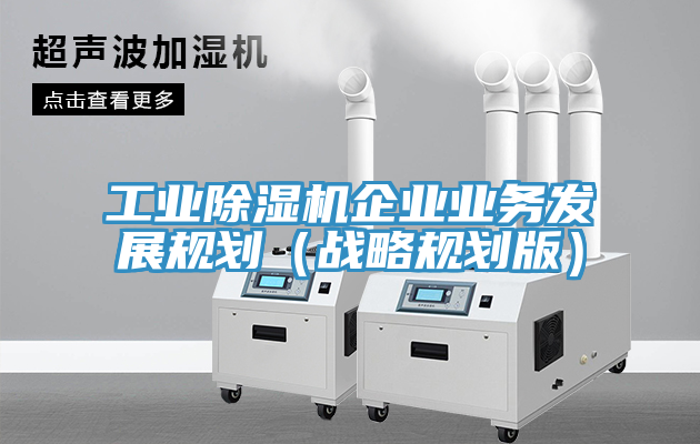 工業小黄片软件免费下载企業業務發展規劃（戰略規劃版）
