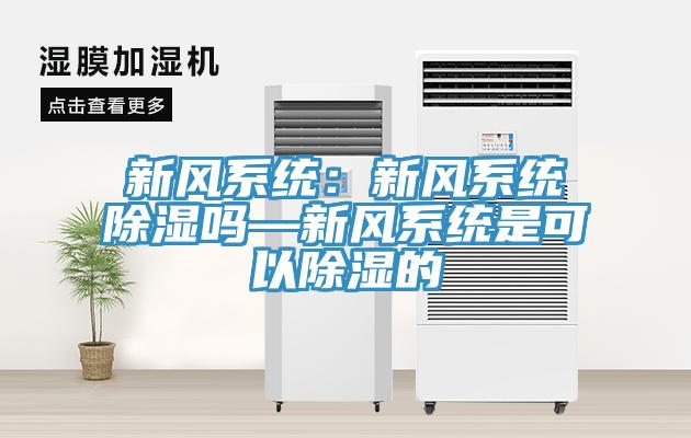 新風係統：新風係統除濕嗎—新風係統是可以除濕的