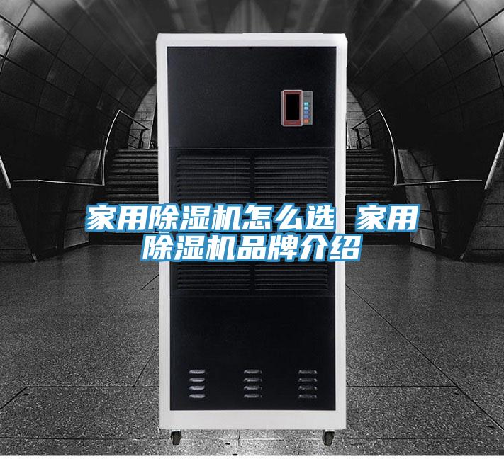 家用小黄片软件免费下载怎麽選 家用小黄片软件免费下载品牌介紹