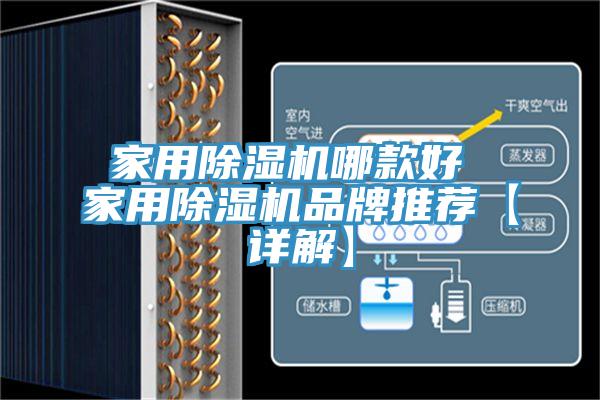 家用小黄片软件免费下载哪款好 家用小黄片软件免费下载品牌推薦【詳解】
