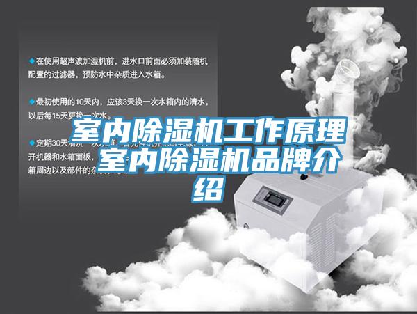 室內小黄片软件免费下载工作原理 室內小黄片软件免费下载品牌介紹