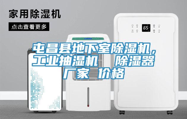 屯昌縣地下室小黄片软件免费下载，工業抽濕機  除濕器廠家 價格