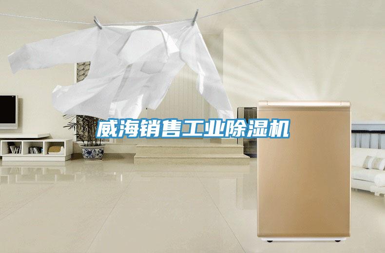 威海銷售工業小黄片软件免费下载