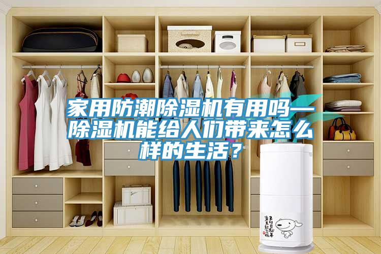 家用防潮小黄片软件免费下载有用嗎—小黄片软件免费下载能給人們帶來怎麽樣的生活？